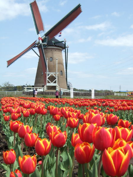 things about Holland. -Written by Emily Perl Kingsley